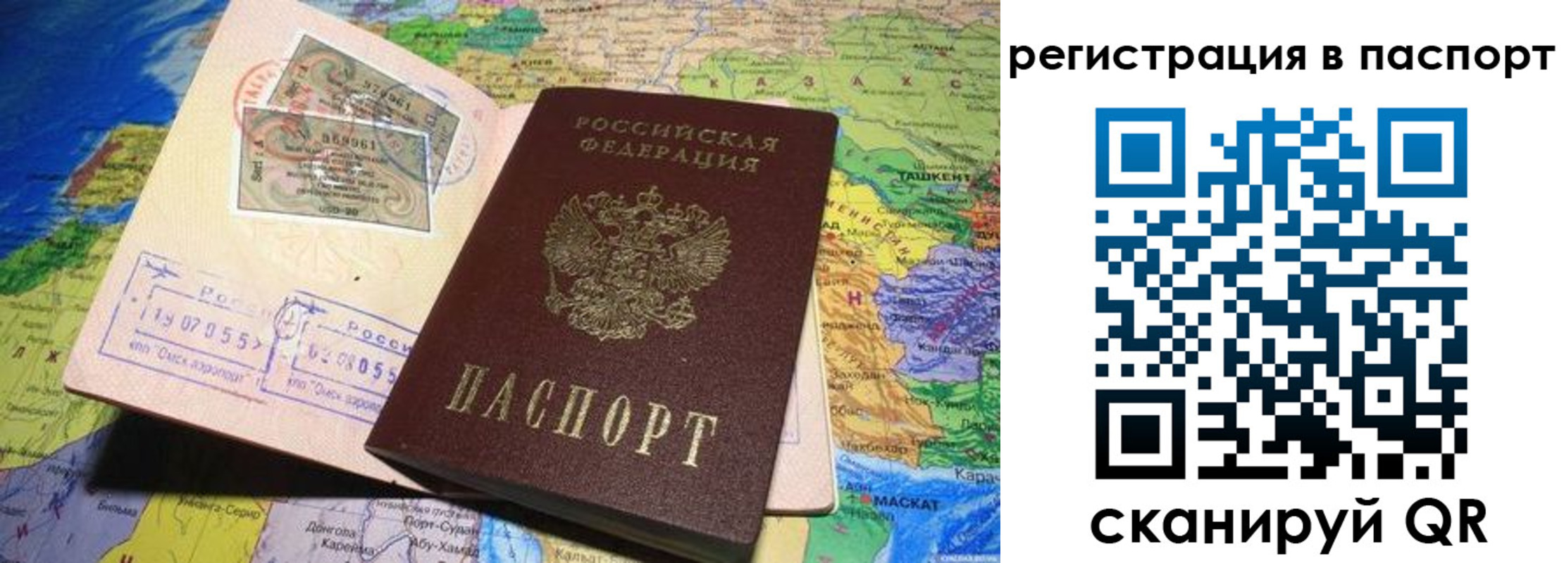 прописка гарантия в Завитинске